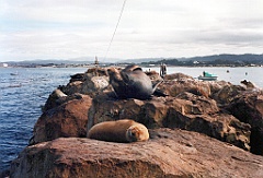 1997 - USA 02 (Monterey)